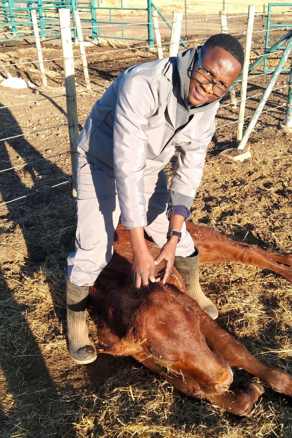 Skill Development Programmes RMI TED